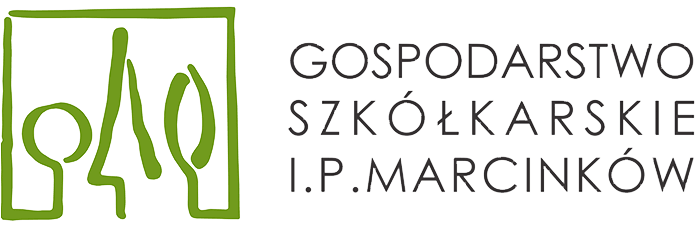 Škôlka Isabely a Pavla Martsinkow