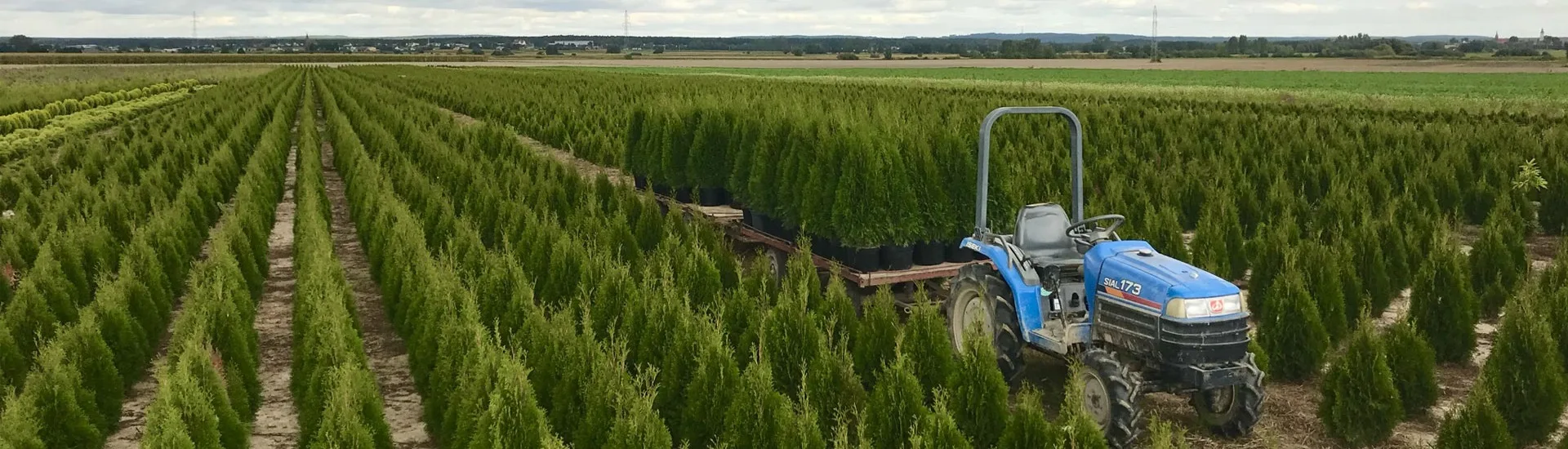 Pohľad z škôlky Marcinków 1