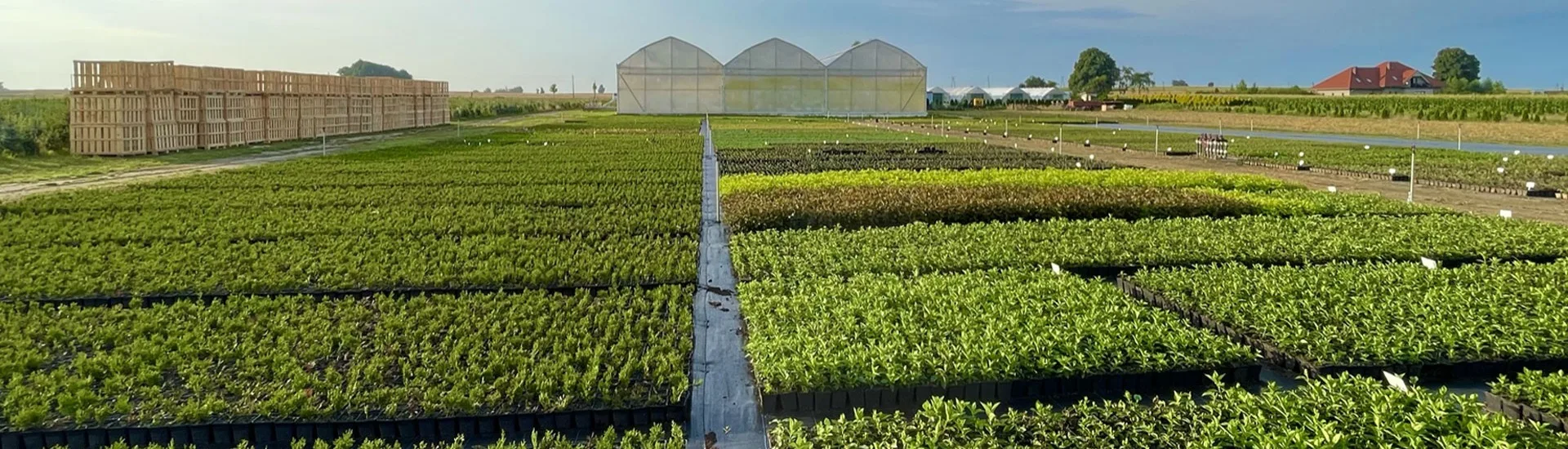 Pohľad z škôlky Marcinków 2