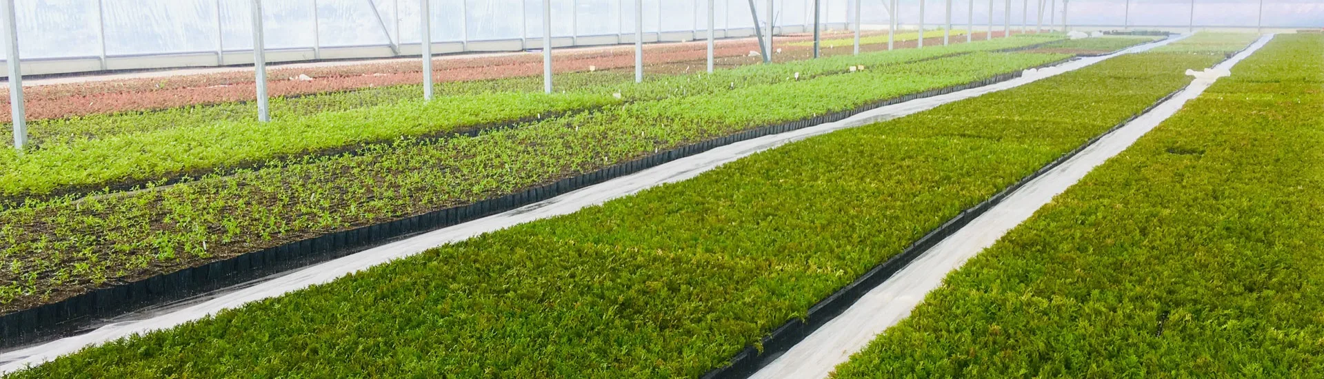 Pohľad z škôlky Marcinków 3