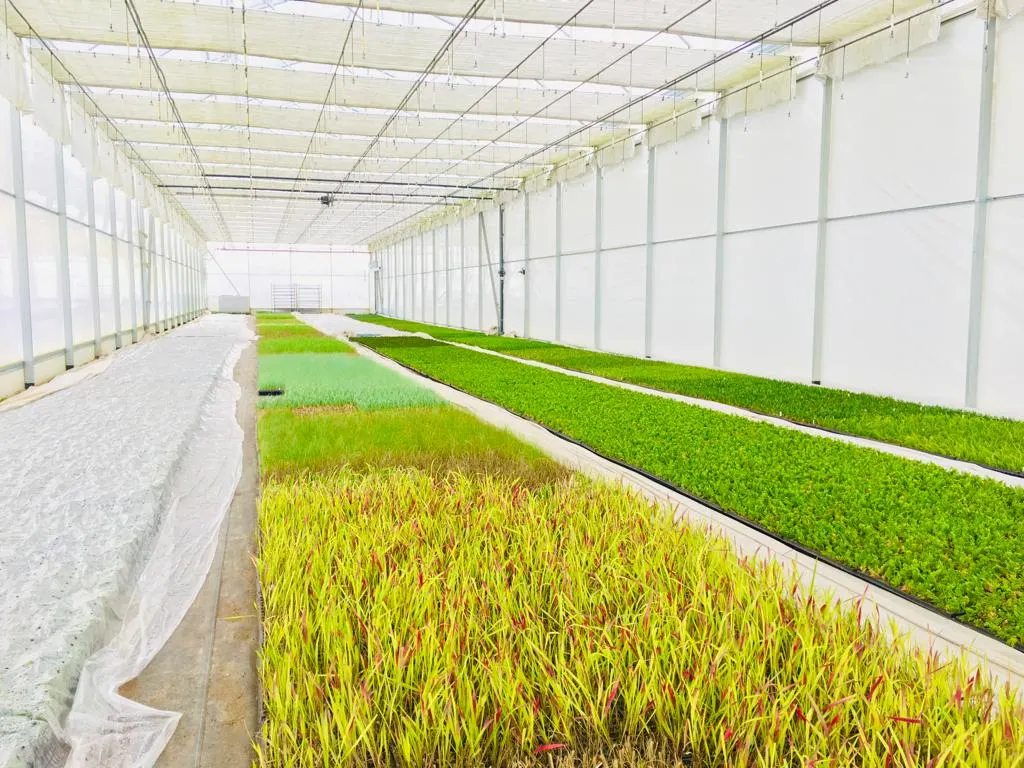 Pohľad zo škôlky Marcinków 5