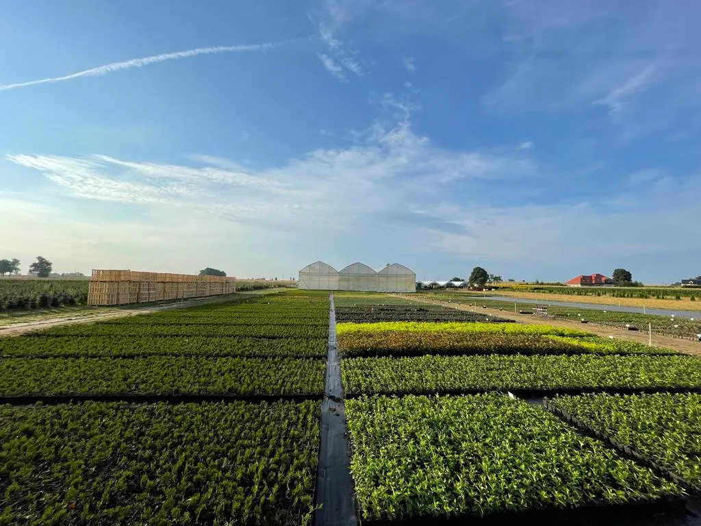 Pohľad z škôlky Marcinków 6