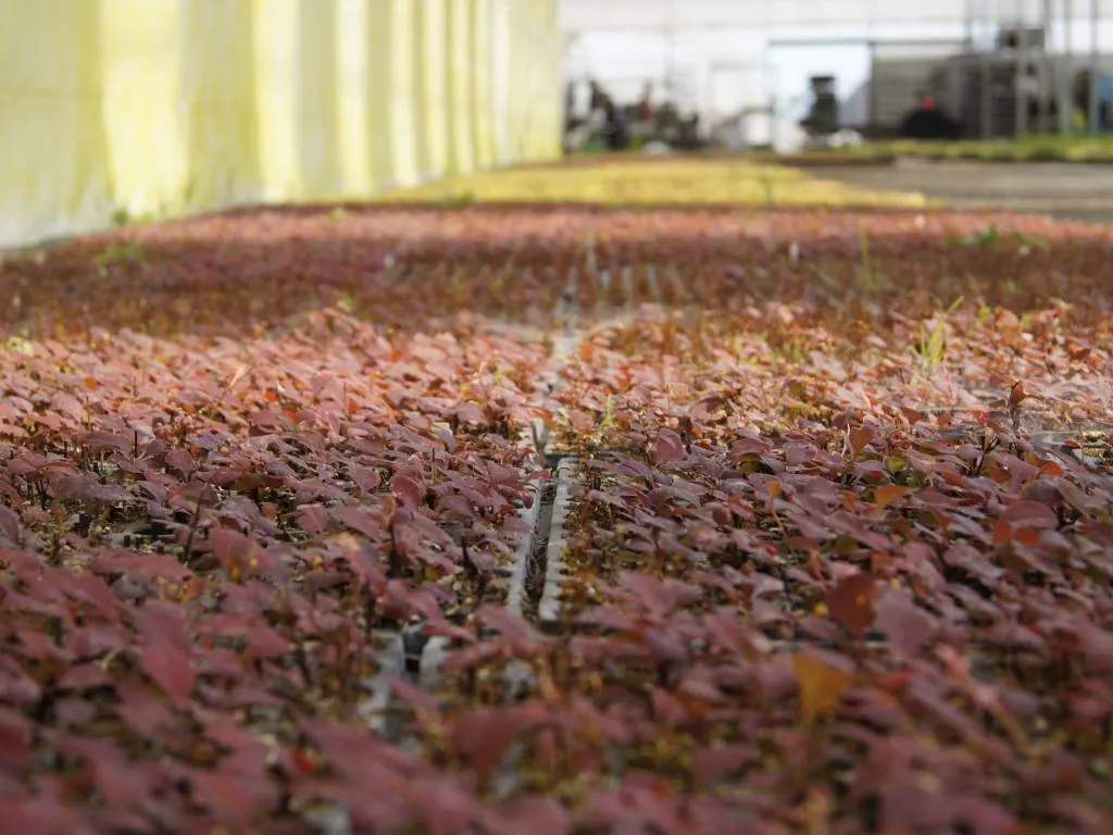 Pohľad z škôlky Marcinków 7